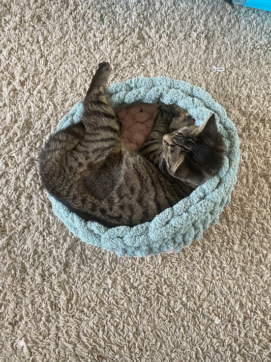 New Cat Bed